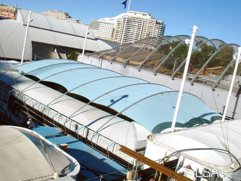 Sydney Aquarium Dugong's at Mermaid Lagoon