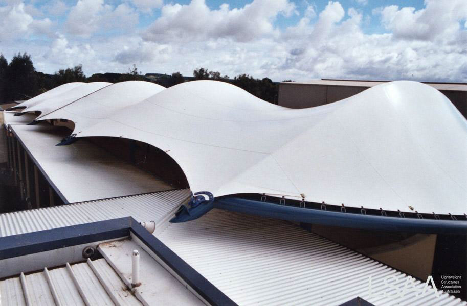 Series of Joined Humped Membrane Surfaces