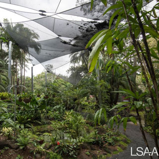 Noosa Botanic Gardens Shade Structure