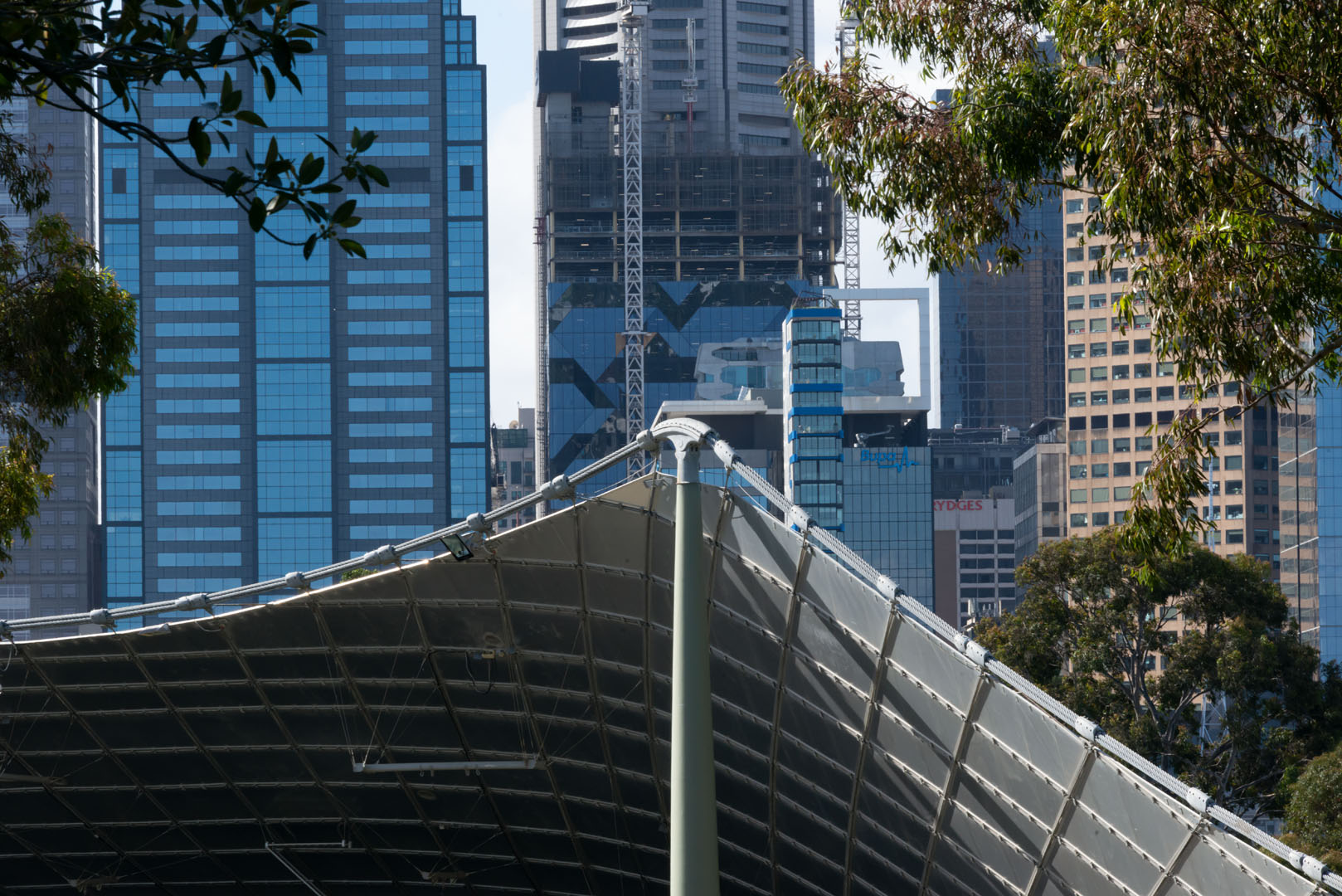 Carols by Candlelight Melbourne - reflection