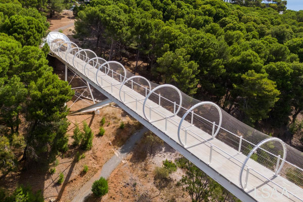 2082Flinders-Uni-Foot-Bridge-Day---Mesh-Form-104